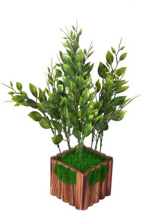 Rehman handicrafts Artificial Plant Bonsai Wild Artificial Plant  with Pot