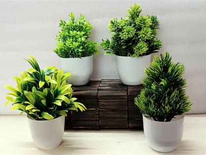 ductor combo 4 Artificial Natural Looking Green Small Plant With Pot. H~15cm Bonsai Wild Artificial Plant  with Pot
