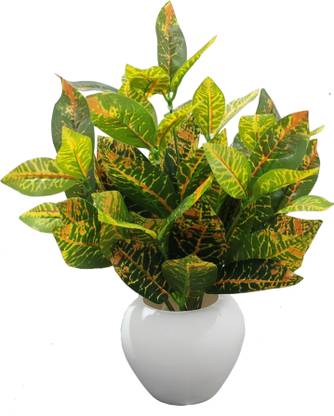 BAARIG Big Croton Plants, Best for Home Office or Gift with Pot Bonsai Artificial Plant  with Pot