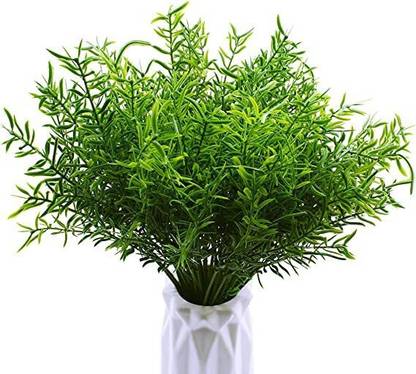 zoanto Artificial Plant