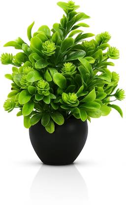 SKIDecor Artificial Succulent Plant with Green Leaves in Black Ceramic Pot Bonsai Wild Artificial Plant  with Pot