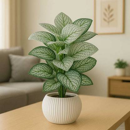 Obeero OBEERO002 Artificial Plant  with Pot
