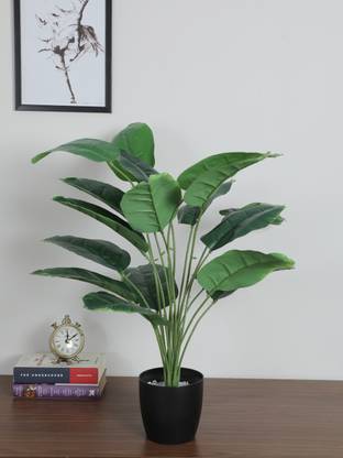 Home Bloom Artificial Banana Plant with Basic Black Pot 18 Leaves for Interior/Home Decor Bonsai Artificial Plant  with Pot