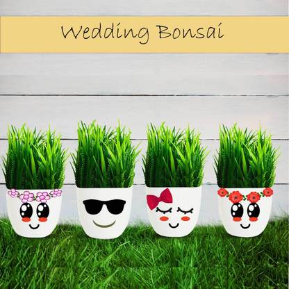 Handybee ®Round Pot with Artificial Green Grass & Smiley Face Design | Pack Of 4 Bonsai Wild Artificial Plant  with Pot