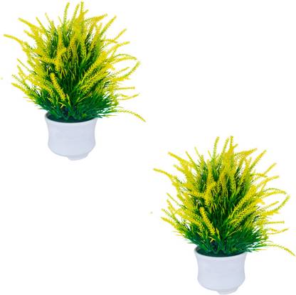 bloomings Bonsai Artificial Plant  with Pot