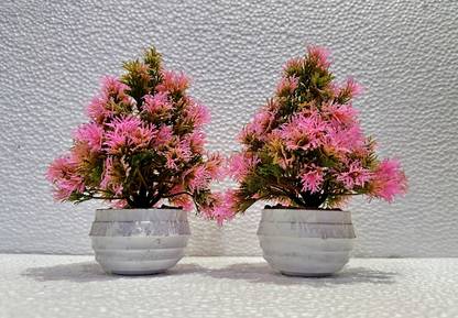 sprinkle Wild Artificial Plant  with Pot