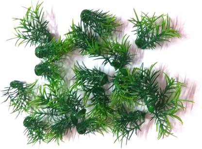 nawani School Project Grass 1 Packet (Around 40 Pic Grass), Size 4/4 cm Artificial Plant