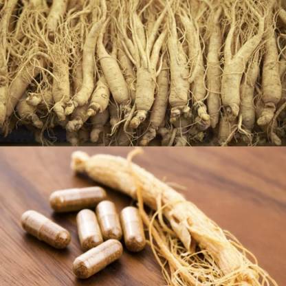 Apurba Agriculture Corean Ginseng Root 5pics Artificial Plant