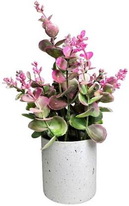 De Gardenia De Gardenia Artificial Eucalyptus Pink Table Top Plant with Pot Bonsai Artificial Plant  with Pot