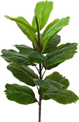 DecoreBugs 15 Leaves Plant without pot Wild Artificial Plant