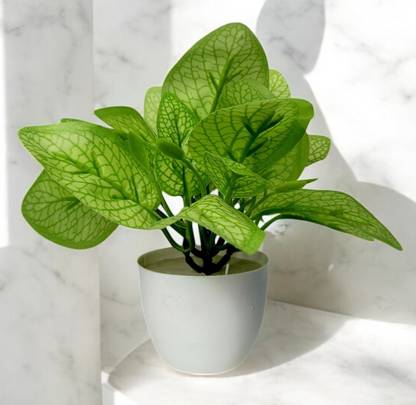 oms Artificial small Flower Plant with pot for home decor Artificial Plant with Pot