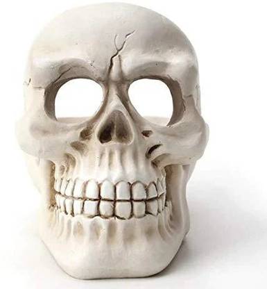 Inara Inara Skull Cigarette Ashtray Smoking for Home, Office and Bar White Polyresin Ashtray