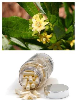 ZYREX Fadogia Agrestis 90 Capsules Pack.750mg Per Serving.