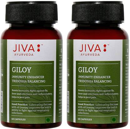 JIVA Giloy Capsule - Immunity Booster - 60 Capsules - Pack of 2