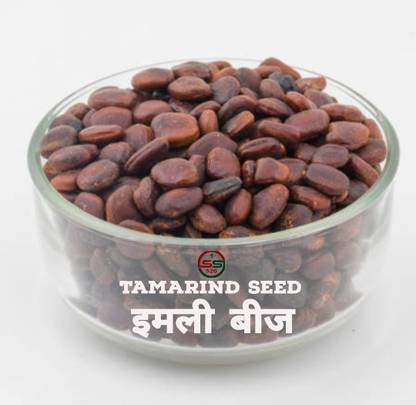 SS520 Tamarind Tree Seeds 100g. Imali Beej Damage Checked Cleaned & Sorted Mixed Seeds
