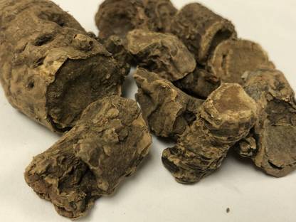 Nutrixia Pashanbhed Lakdi - Pashan Bhed (Patharchatta) Root -Pakhanved Jadd