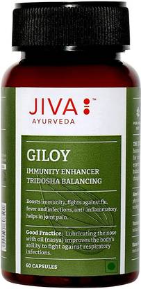 JIVA Giloy Capsule - Immunity Booster - 60 Capsules - Pack of 1