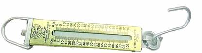 BHI 100Kg Spring balance for Home and Professional (Handy Balance) Balance Scale