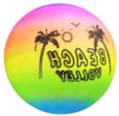 Weber Multicolor Beach Ball / Rubber Moulded Beach Ball , 1 Ball , jmj95 Pool Ball