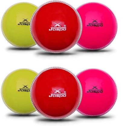 Jaspo T-20 Multicolor pvc Soft Cricket Training Ball