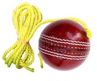 nizex XCDI- Leather Hanging Cricket Ball / red / For Shot Practice, 1 Ball ,qg69 Cricket Training Ball