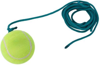 Woodtechinternational Cricket Easy to Learn, Training Cricket Tennis Ball, Cricket Training Ball