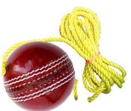 nizex XZCV - Tough Leather Cricket Hanging Ball red For Shot Practice , Ay65 Cricket Training Ball
