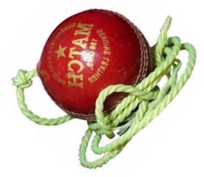 nizex Tough Leather Hanging Ball/ Red ,For Shot Practice ,1 Ball xxc201 Cricket Training Ball