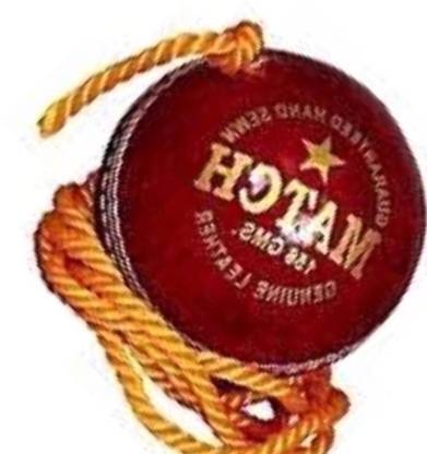 nizex XCVI- Leather Cricket Hanging Ball Red , For Shot Practice , 1 Ball ,TH68 Cricket Training Ball