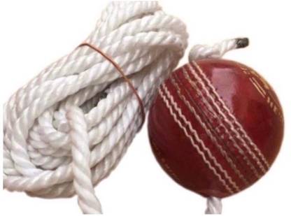 Weber Tough Leather Cricket Hanging Ball Red ,For Shot Practice , 1 Ball , ki8 Cricket Training Ball
