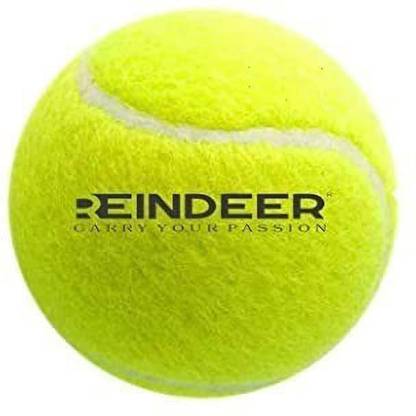 REINDEER Heavy Weight Rubber Cricket Ball for Cricket Players Cricket Training Ball