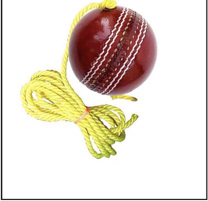 nizex XCIZ- Leather Cricket Hanging Ball , For Shot Practice Red Color as172 Cricket Training Ball