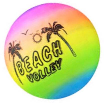 Weber Rubber Moulded Beach Ball , Multicolor Ball , 1 Ball Pack ,mh51 Pool Ball