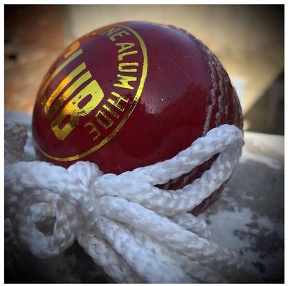 MINESFIT Tough Leather Hanging Ball for Shot Practice Red Color (1 Ball ) g12 Cricket Training Ball