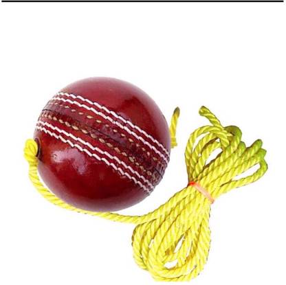Weber XZSI- Leather Cricket Hanging Ball Red For Shot Practice , 1 ball dr173 Cricket Training Ball