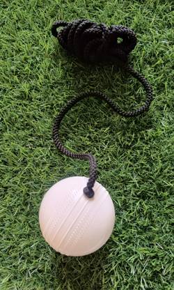 RAINBOWTRADING PVC white knocking ball Cricket Training Ball
