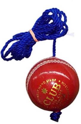 Weber XZSI- Leather Cricket Hanging Ball Red For Shot Practice , 1 ball dr27 Cricket Training Ball