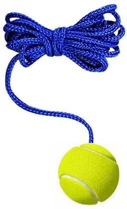VSC VSC02 Cricket Training Ball