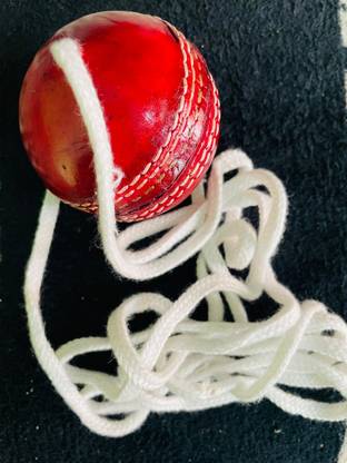 nizex NCXX- Leather Cricket Hanging Ball For Knocking Practice / Red , ZSS100 Cricket Training Ball