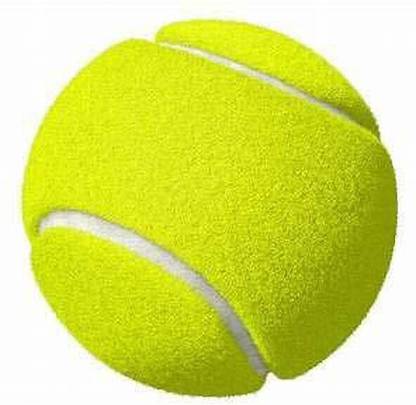 GG Gonex APGT102 Cricket Tennis Ball