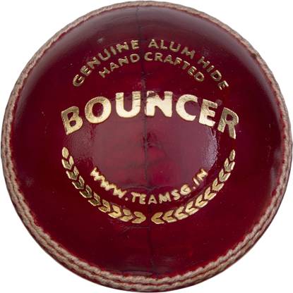 SG BOUNCER Cricket Leather Ball