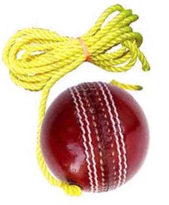 nizex Tough Leather Cricket Hanging Ball Red, For Shot Practice , 1 Ball AQ6 Cricket Training Ball