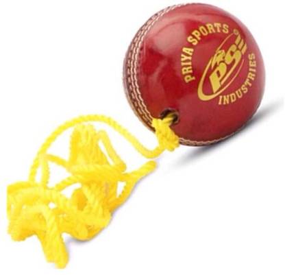 Weber XZSI- Leather Cricket Hanging Ball Red For Shot Practice , 1 ball dr111 Cricket Training Ball