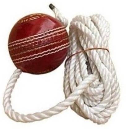 IKLONE NXC- Red Leather Cricket Hanging Ball For Knock Practice ,m2 Cricket Training Ball
