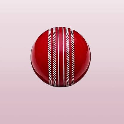 EPLEATHERS Wicket Out Red & White__Leather _Ball 00LK30 Cricket Leather Ball