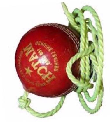 Weber XZSI- Leather Cricket Hanging Ball Red For Shot Practice , 1 ball dr101 Cricket Training Ball