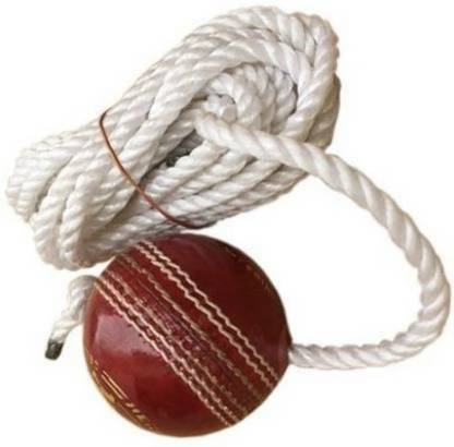 RnB RUSHI INDUSTRIES Hanging Practice Leather Ball Cricket Training Ball