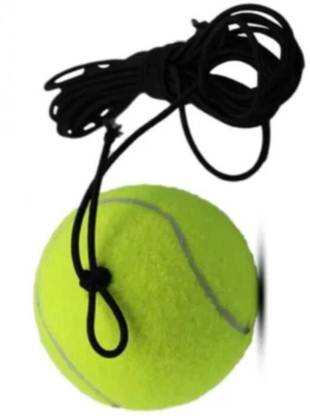 IKLONE Hanging Tennis Cricket Ball For indoor Training -R3 Cricket Training Ball