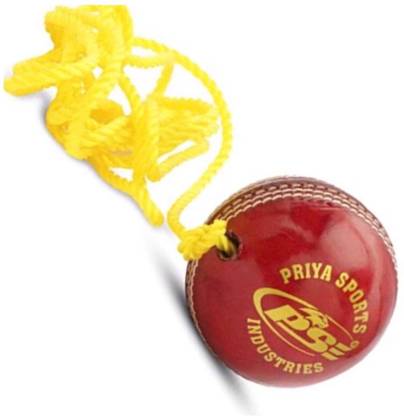nizex Tough Leather Hanging Ball /Red / For Shot Practice ,1 Ball , SS143 Cricket Training Ball
