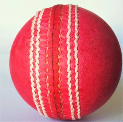MAHADEV Pink-BL Cricket Leather Ball